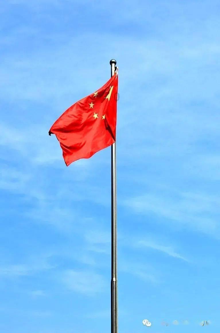可怜猫的救援
